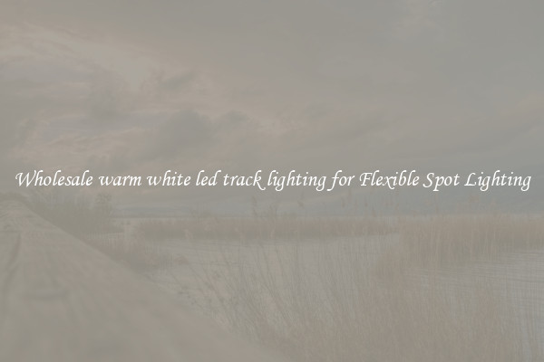 Wholesale warm white led track lighting for Flexible Spot Lighting