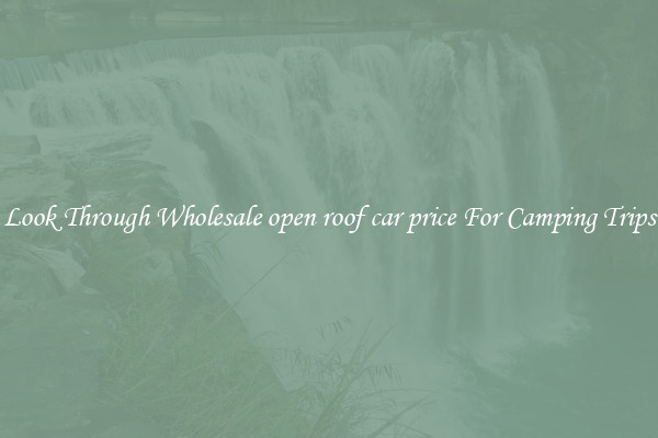 Look Through Wholesale open roof car price For Camping Trips