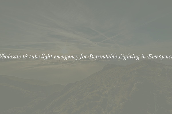 Wholesale t8 tube light emergency for Dependable Lighting in Emergencies