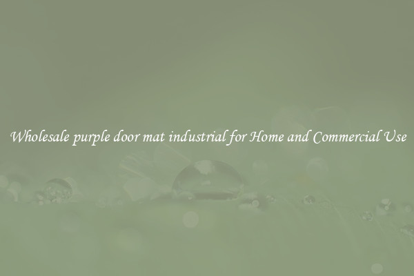 Wholesale purple door mat industrial for Home and Commercial Use