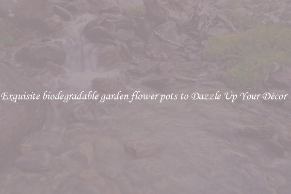 Exquisite biodegradable garden flower pots to Dazzle Up Your Décor  