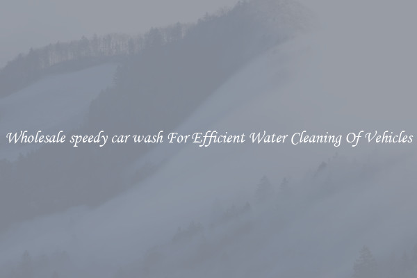 Wholesale speedy car wash For Efficient Water Cleaning Of Vehicles