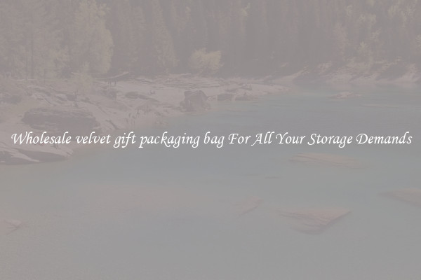 Wholesale velvet gift packaging bag For All Your Storage Demands