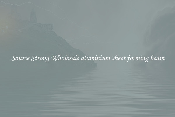Source Strong Wholesale aluminium sheet forming beam