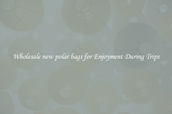 Wholesale new polar bags for Enjoyment During Trips