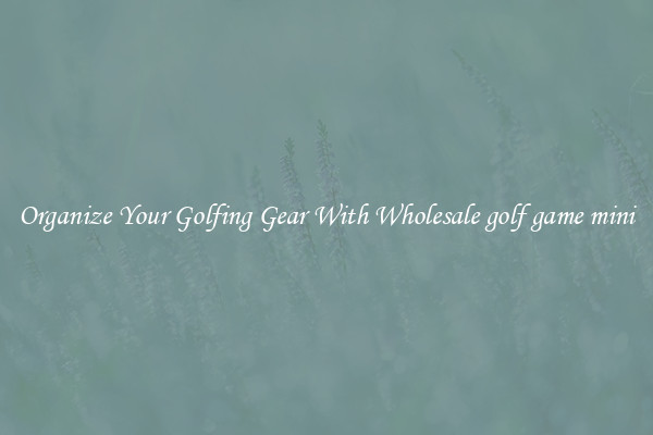 Organize Your Golfing Gear With Wholesale golf game mini