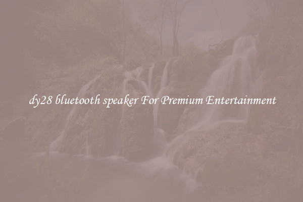 dy28 bluetooth speaker For Premium Entertainment