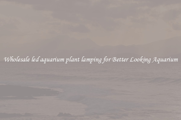 Wholesale led aquarium plant lamping for Better Looking Aquarium