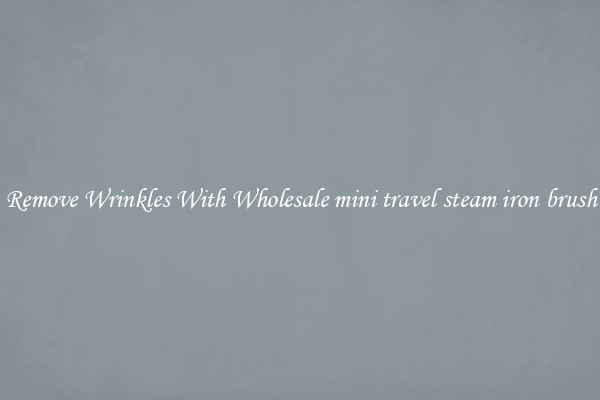 Remove Wrinkles With Wholesale mini travel steam iron brush