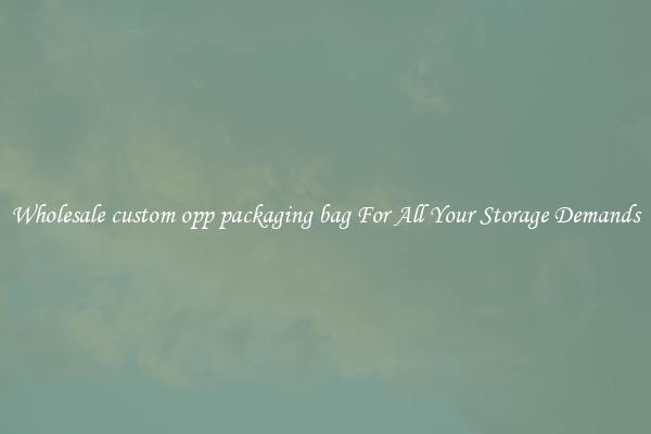 Wholesale custom opp packaging bag For All Your Storage Demands
