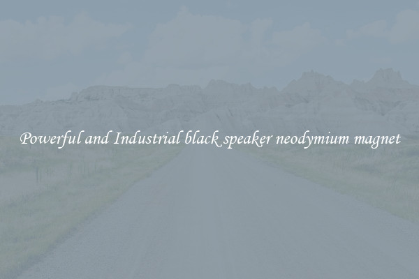 Powerful and Industrial black speaker neodymium magnet