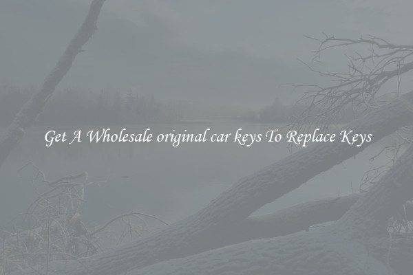 Get A Wholesale original car keys To Replace Keys