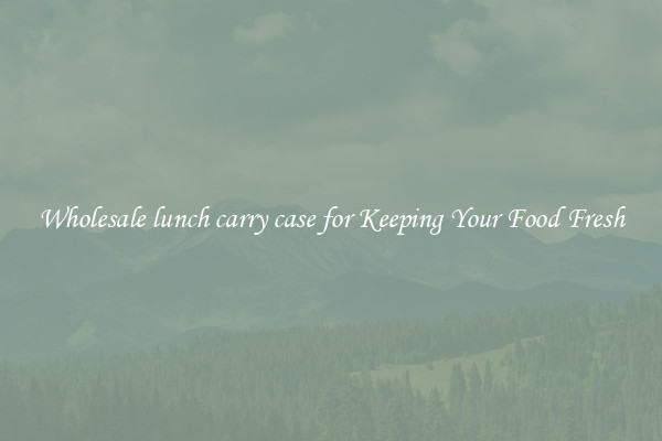 Wholesale lunch carry case for Keeping Your Food Fresh