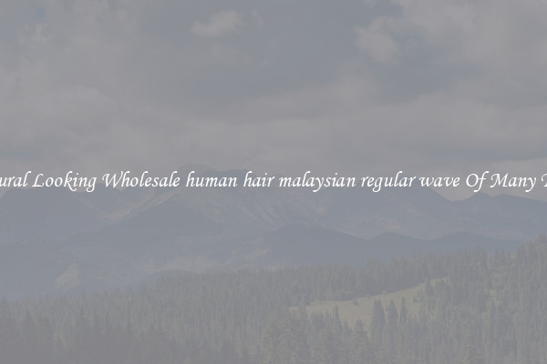 Natural Looking Wholesale human hair malaysian regular wave Of Many Types