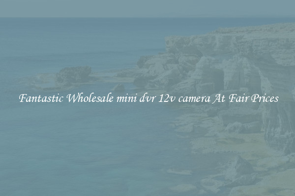 Fantastic Wholesale mini dvr 12v camera At Fair Prices