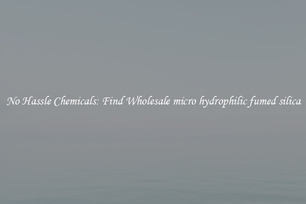 No Hassle Chemicals: Find Wholesale micro hydrophilic fumed silica