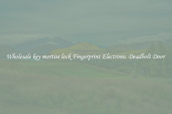 Wholesale key mortise lock Fingerprint Electronic Deadbolt Door 