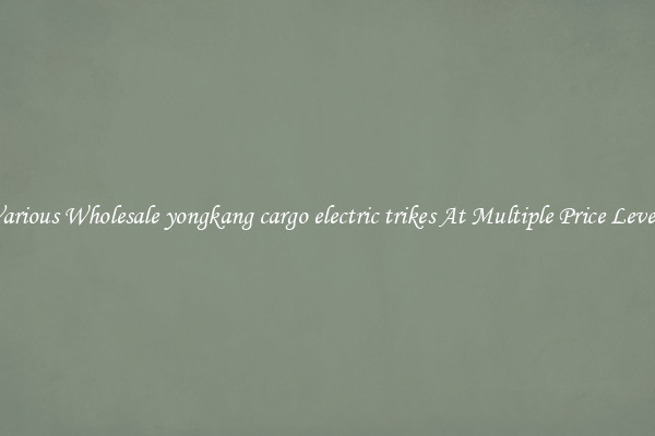 Various Wholesale yongkang cargo electric trikes At Multiple Price Levels