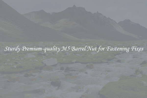 Sturdy Premium-quality M5 Barrel Nut for Fastening Fixes